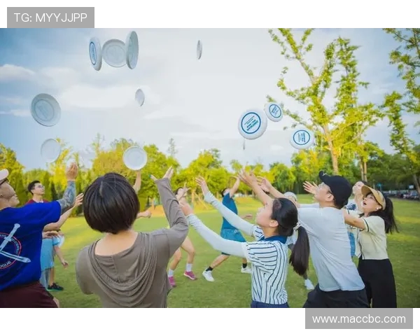 飞盘飞翔上海队的拼搏与成长之路揭秘